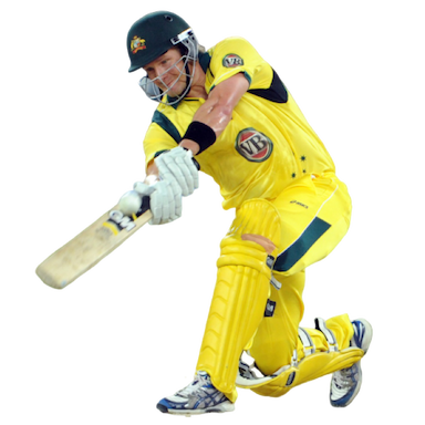 Shane Watson 3
