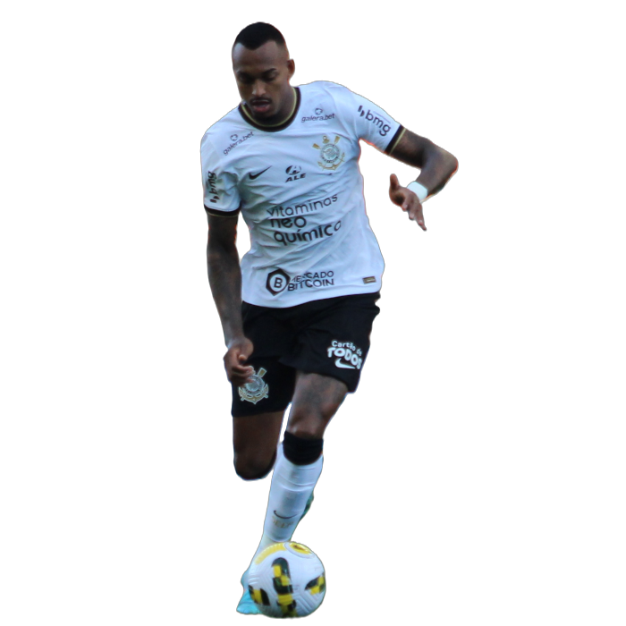 Raul Pereira Bicalho