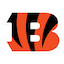 Cincinnati Bengals