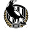 Collingwood Magpies