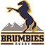 Brumbies