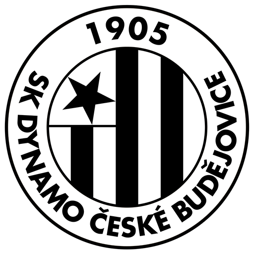 Dynamo České Budějovice artwork 1