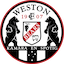 Weston Bears FC