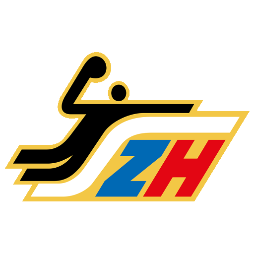 Slovakia Handball Women artwork 1