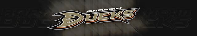 Anaheim Ducks artwork 4