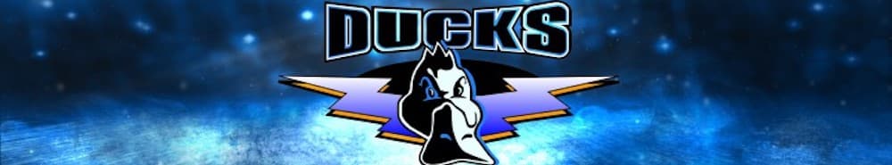 Beijing Ducks banner