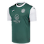 Hibernian