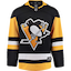Pittsburgh Penguins