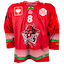 Cardiff Devils