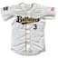 Orix Buffaloes