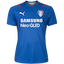 Suwon Samsung Bluewings