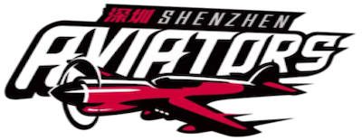 Shenzhen Leopards artwork 2
