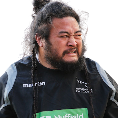 Logovi'i Mulipola 2