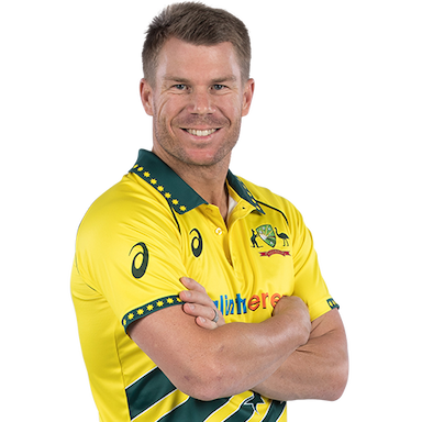David Warner 2
