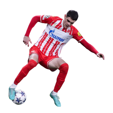 Kosta Nedeljković 3