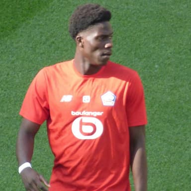 Amadou Onana 1