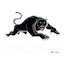 Penrith Panthers