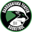Darüşşafaka SK