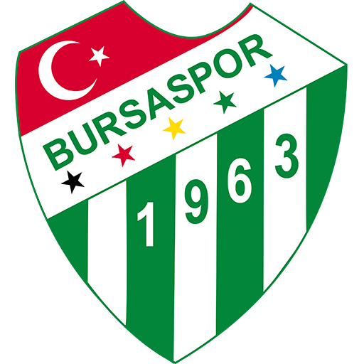 Bursaspor Basketbol artwork 1