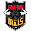 Bradford Bulls