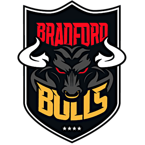 Bradford Bulls artwork 1