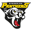 Ringerike Panthers