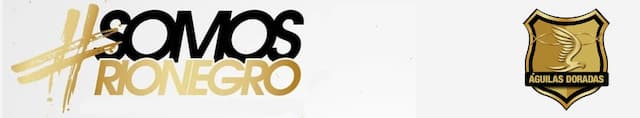Rionegro Águilas artwork 4
