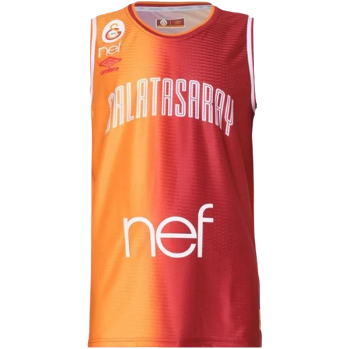 Galatasaray SK artwork 2