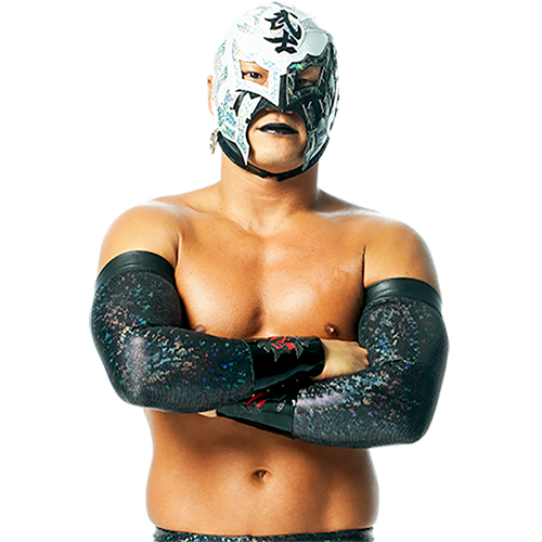 Bushi 