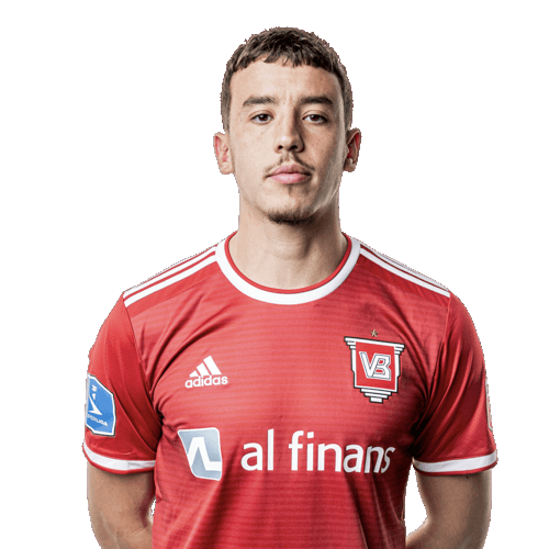 Jasin-Amin Assehnoun