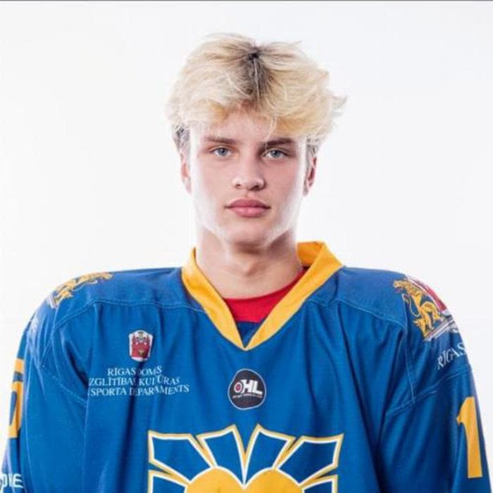 Arturs Kriss Avotins