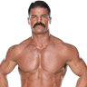 Robert Roode