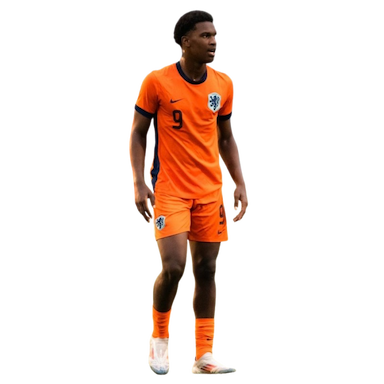 Jerolldino Bergraaf 3