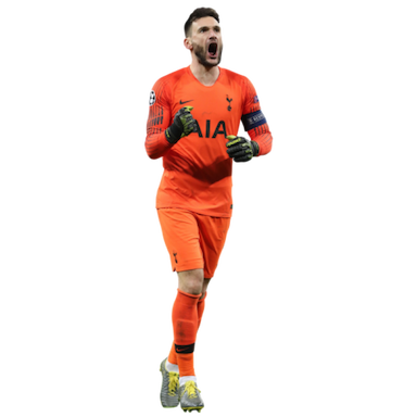 Hugo Lloris 3