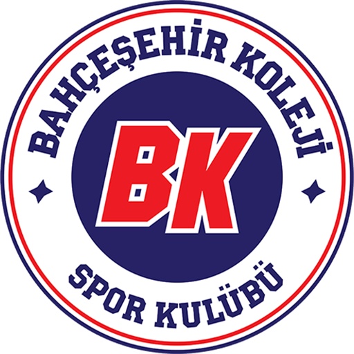 Bahçeşehir Koleji SK artwork 1
