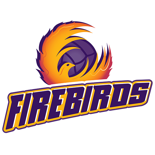 Queensland Firebirds artwork 1