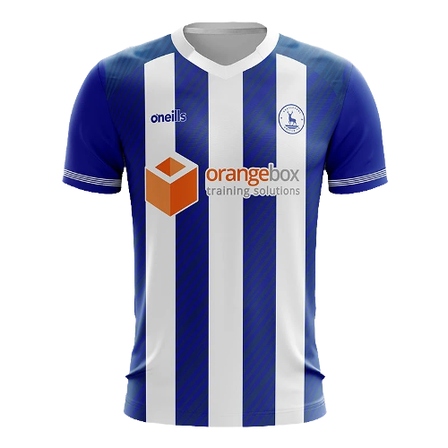 Hartlepool artwork 3